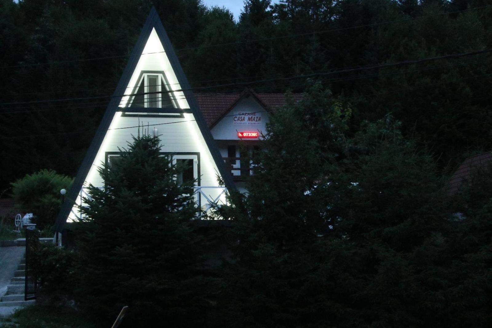 Casa Maia Apartamento Cîrţişoara Exterior foto