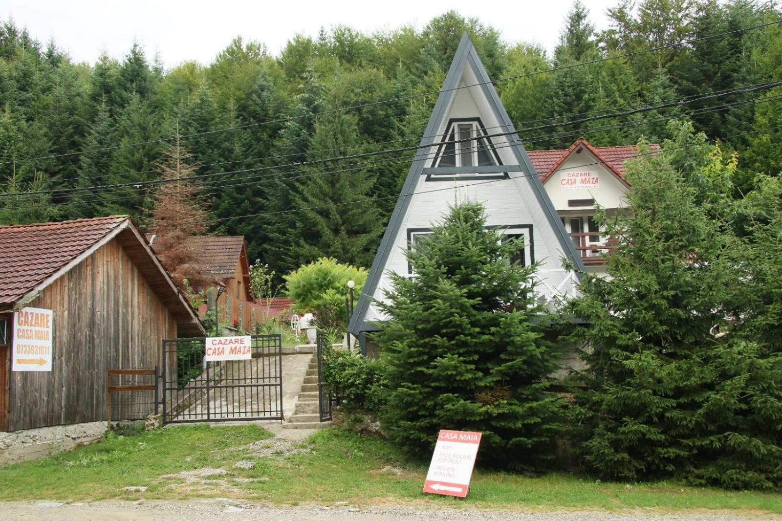 Casa Maia Apartamento Cîrţişoara Exterior foto